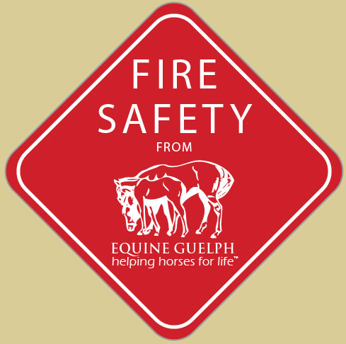 Fire Safety logo